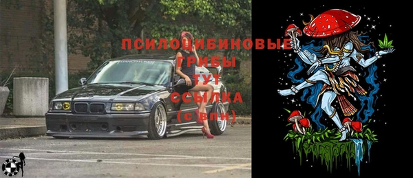 амф Белокуриха